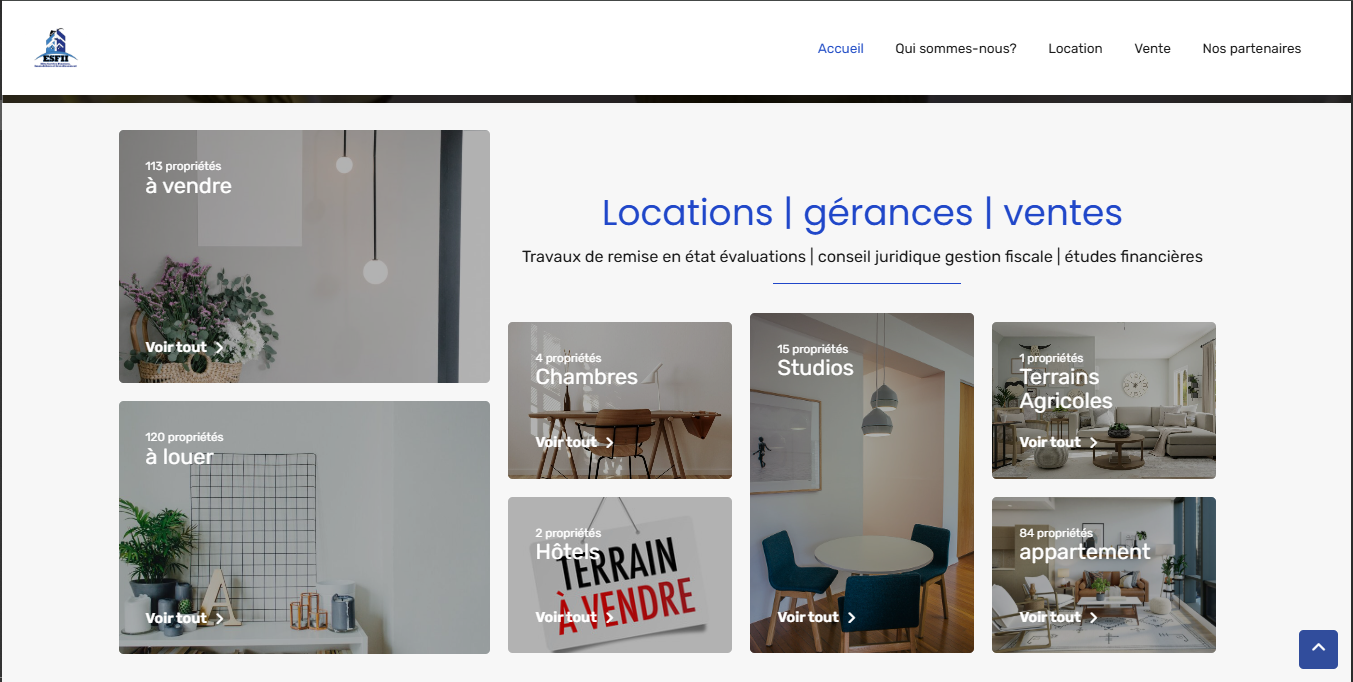 Capture d'écran ESFII : Portail Immobilier & Promotion Immobilière - M-TECH